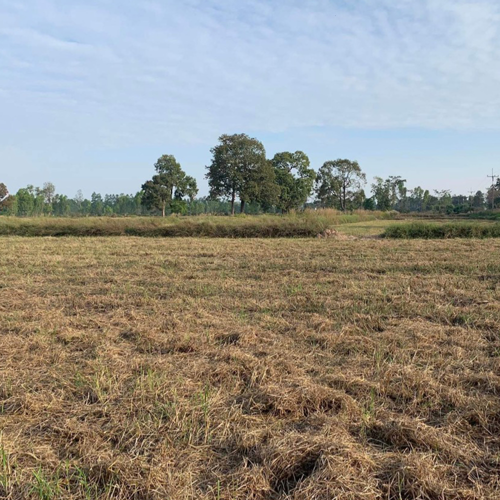 Land in Thailand