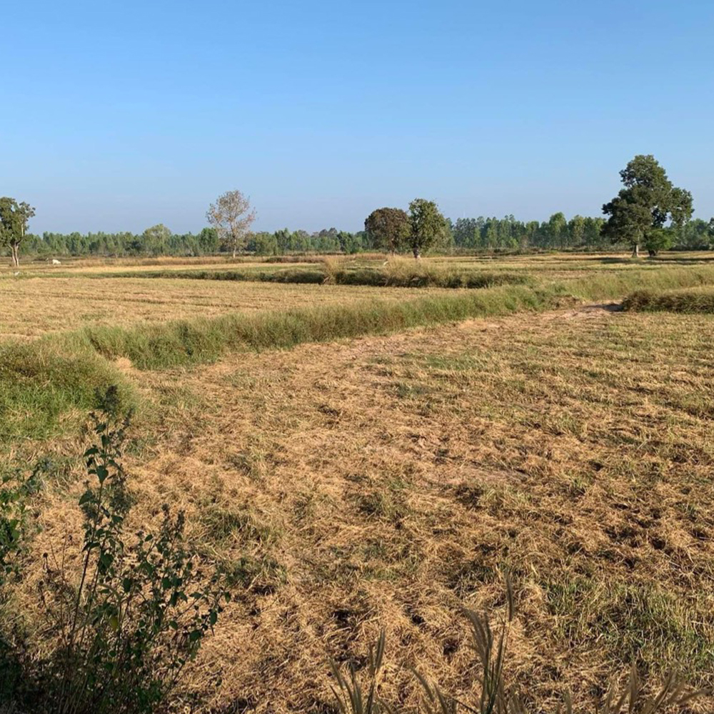 Land in Thailand