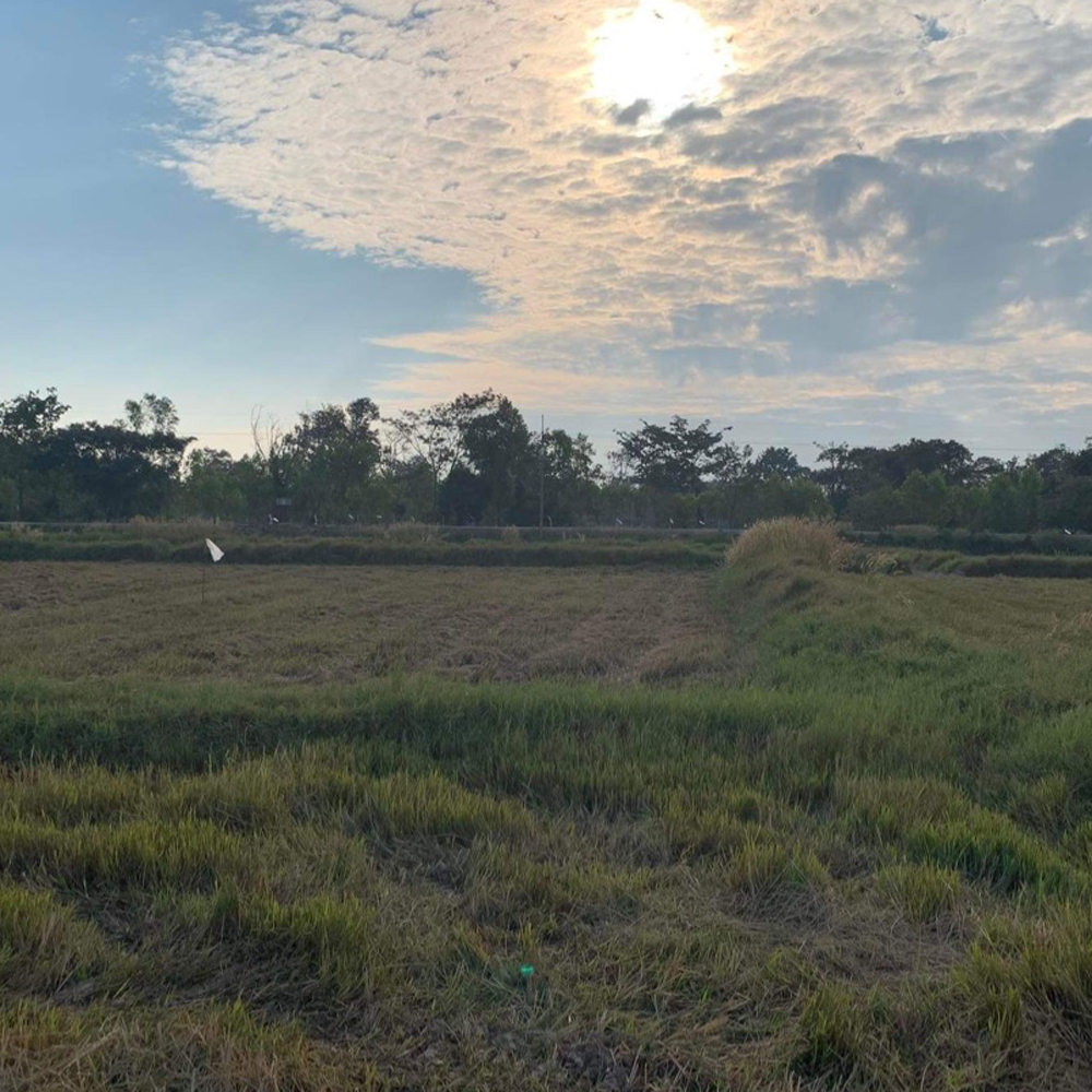 Land in Thailand