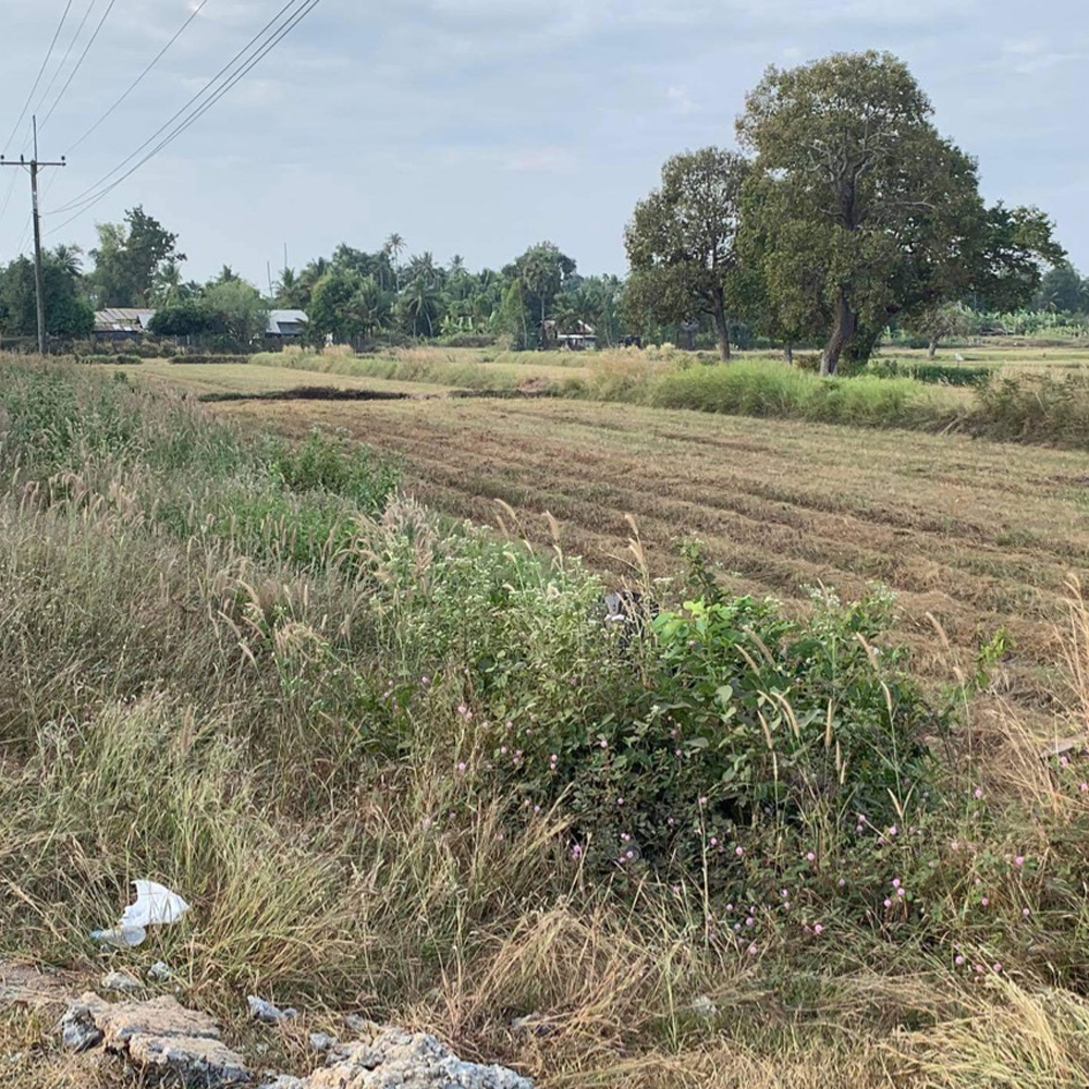Land in Thailand
