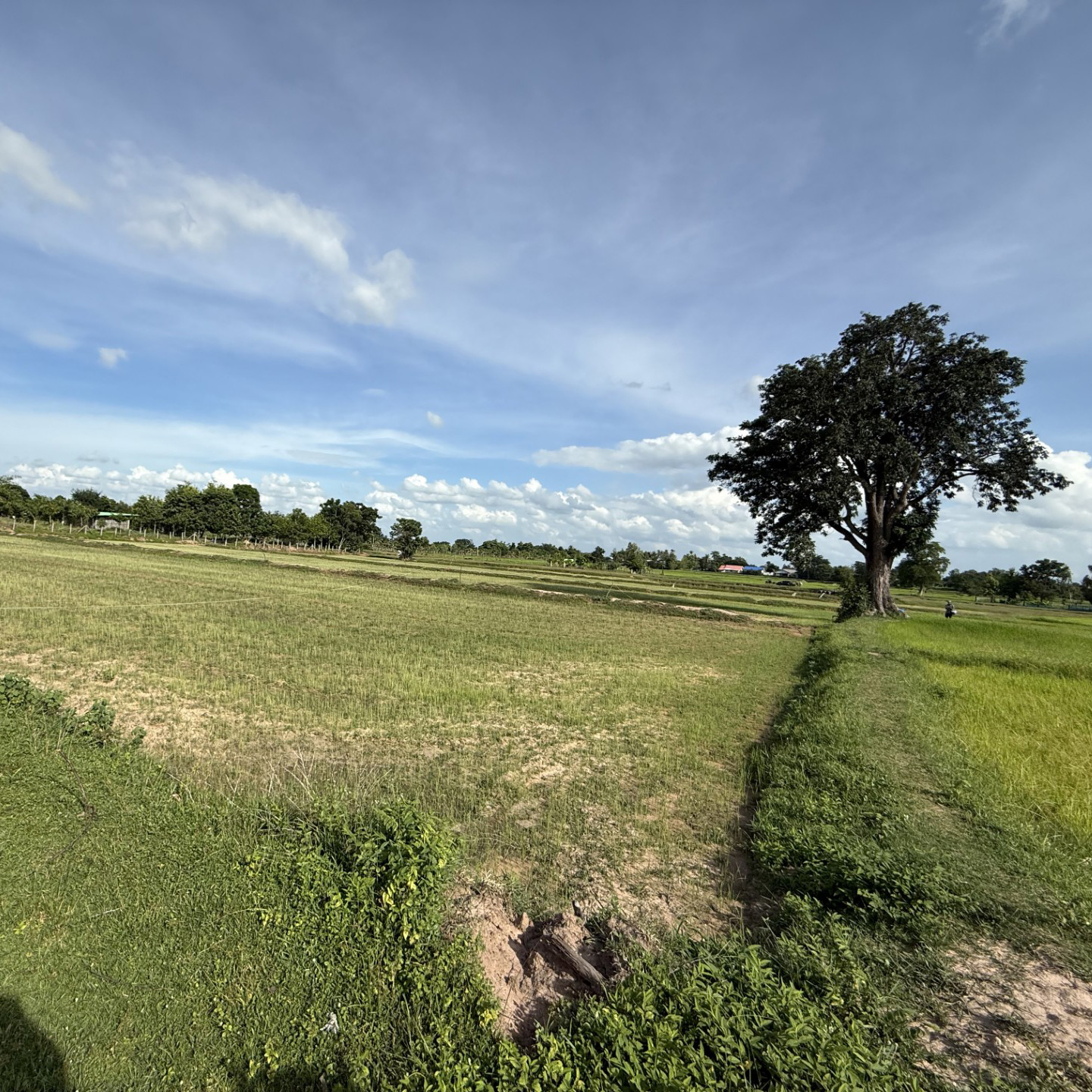 Land in Thailand