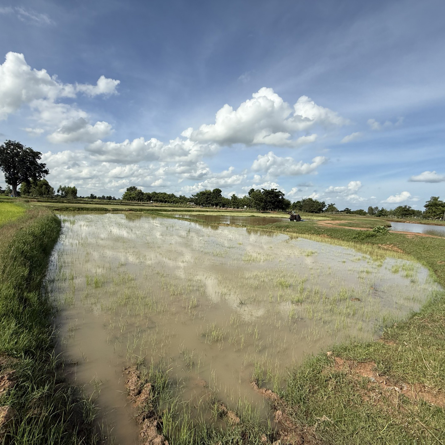 Land in Thailand
