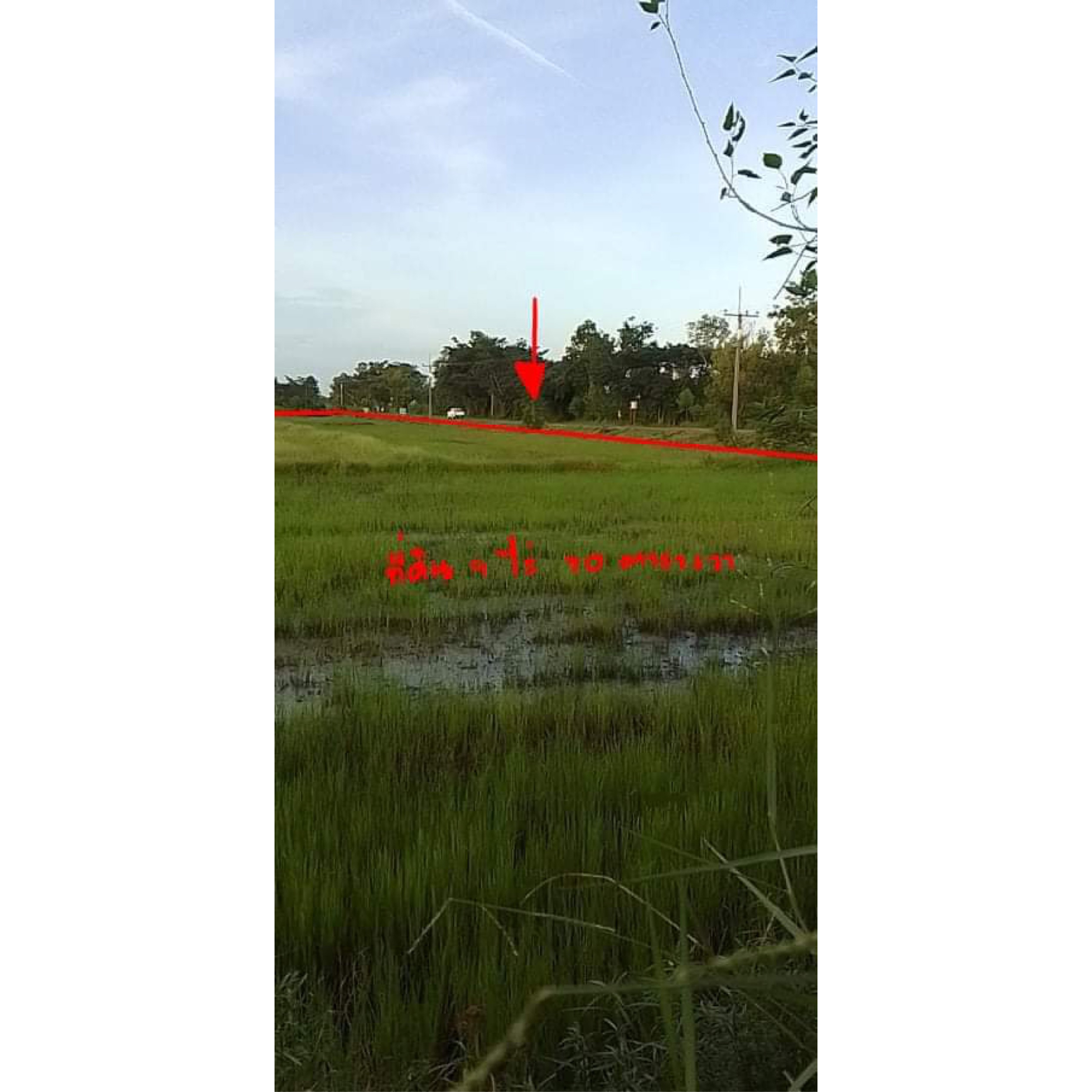 Land in Thailand